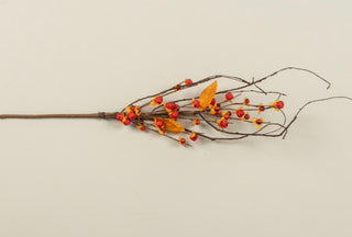 Everlasting Bittersweet Branch