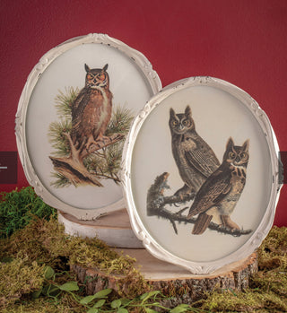 Vintage Owls Wall Art