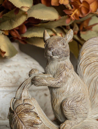 Geoffrey the Gourd Riding Squirrel