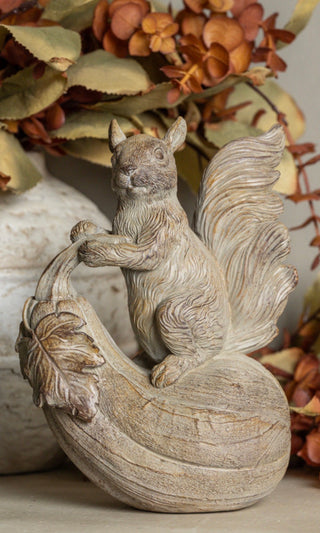 Geoffrey the Gourd Riding Squirrel