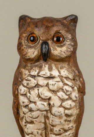 Orpheus the Wisened Brown Owl