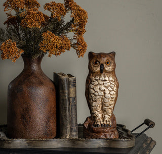 Orpheus the Wisened Brown Owl