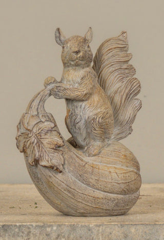 Geoffrey the Gourd Riding Squirrel