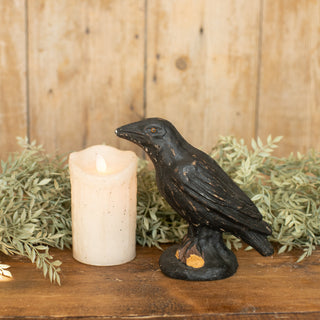 Edgar Allan Crow