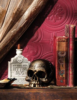 Eternal Quest For Knowledge Skull Bookend