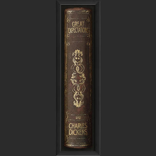 Library of Classic Book Spine Prints Under Glass