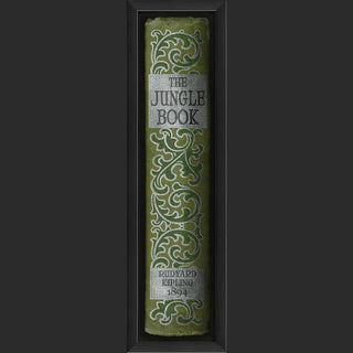 Library of Classic Book Spine Prints Under Glass