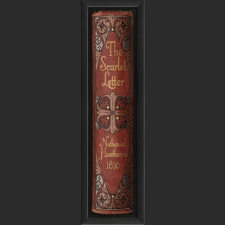 Library of Classic Book Spine Prints Under Glass