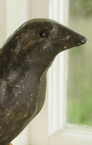 Edgar Allan Crow