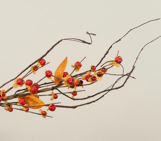 Everlasting Bittersweet Branch