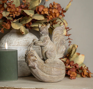 Geoffrey the Gourd Riding Squirrel