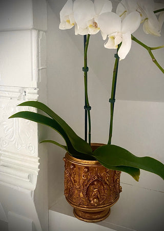 Gilded Age Planter