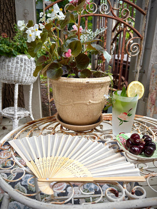 Biddy Breeze Hand Fan