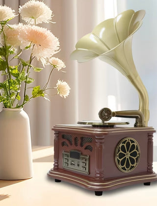 Gramophone Blue Tooth Speaker