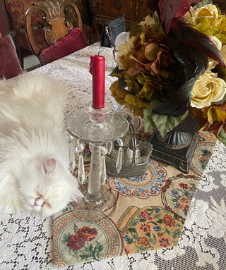 Mary Margaret’s “Empress Runner”