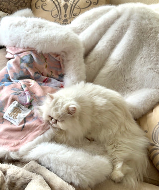 The Snow Queen Blanket