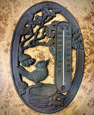 Temps Arising Thermometer