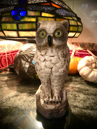 Winslow the White Owl