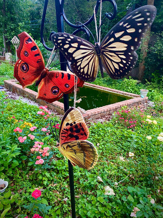 Flutterby Butterflies