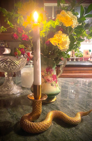 Enchanted Serpent Candlestick Holder