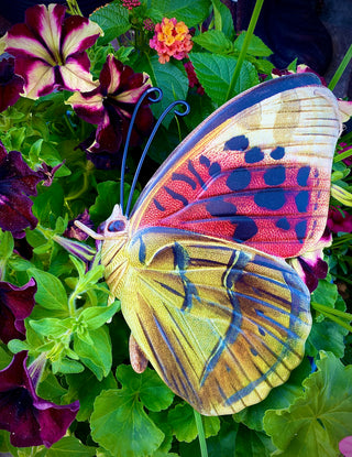 Flutterby Butterflies