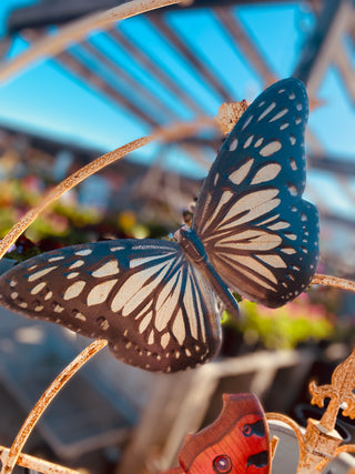 Flutterby Butterflies